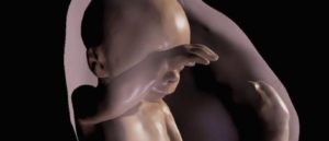 naom_5832e1e74d136